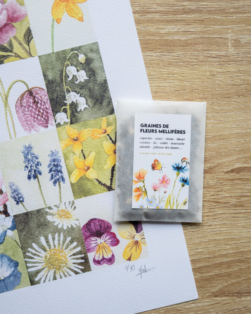 kit de printemps (illustration & graines) – Image 2