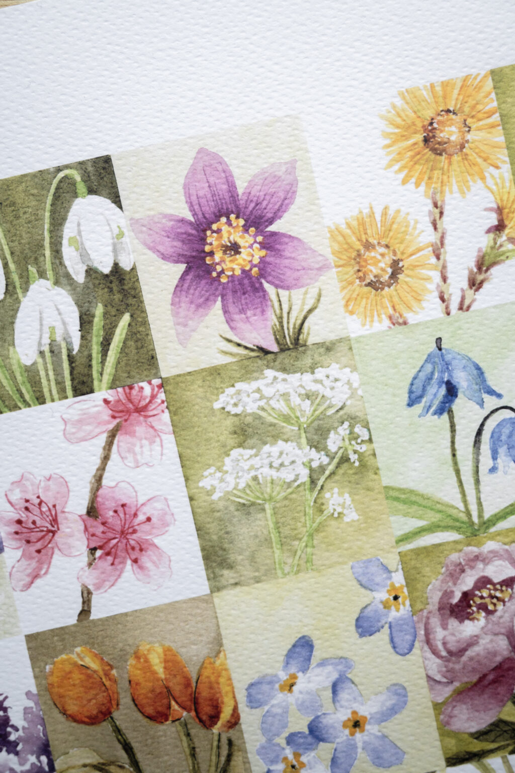 kit de printemps (illustration & graines) – Image 4