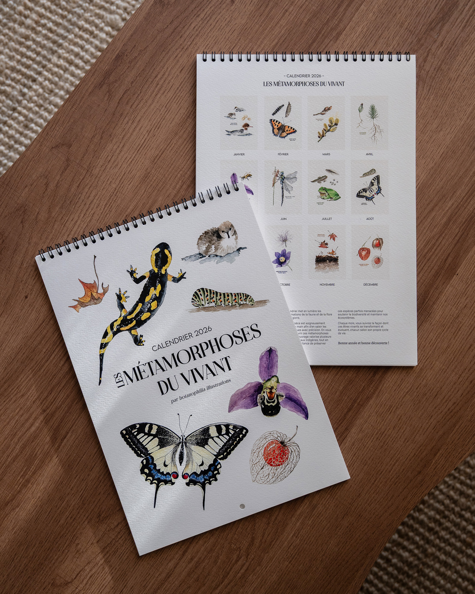 calendrier 2026 - les métamorphoses du vivant – Image 3
